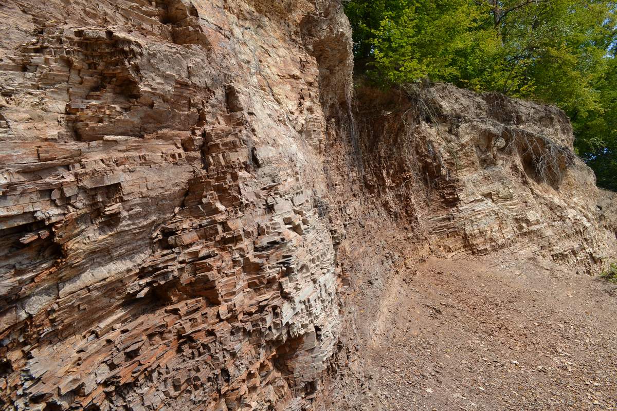 Urokliwa ścieżka geologiczna w Lichwinie