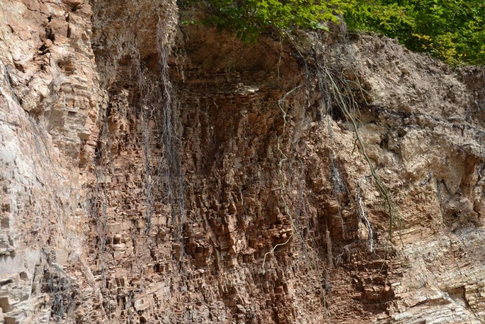 Urokliwa ścieżka geologiczna w Lichwinie