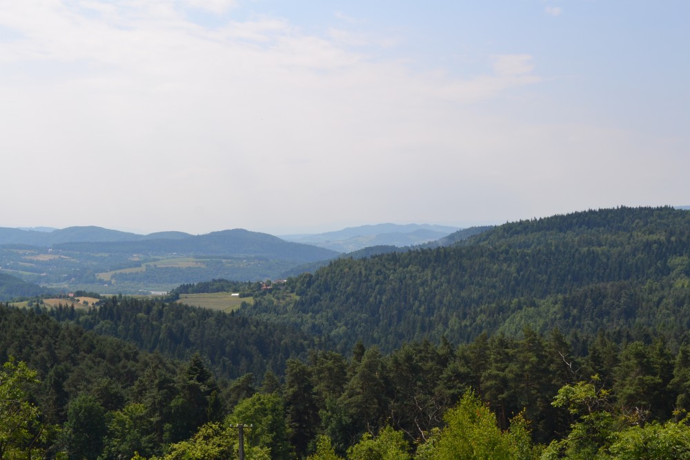 Prace nad budową wieży widokowej w Iwkowej zostały rozpoczęte! 