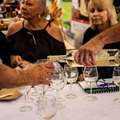 Pleśnieński Bachus 2021